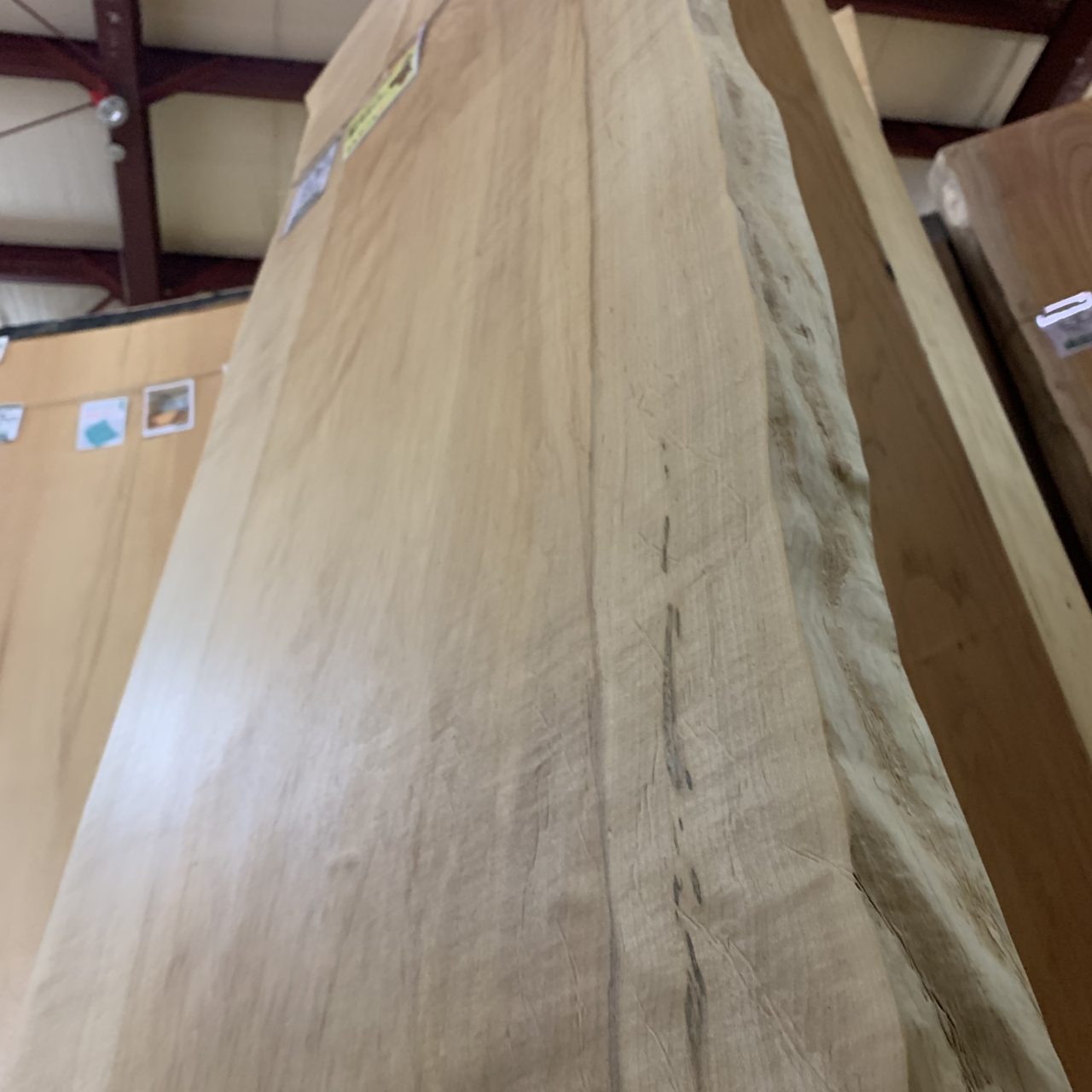 カエデ一枚板【岩手】1500×600〜670×45㎜ | 無垢材・一枚板などの木材 