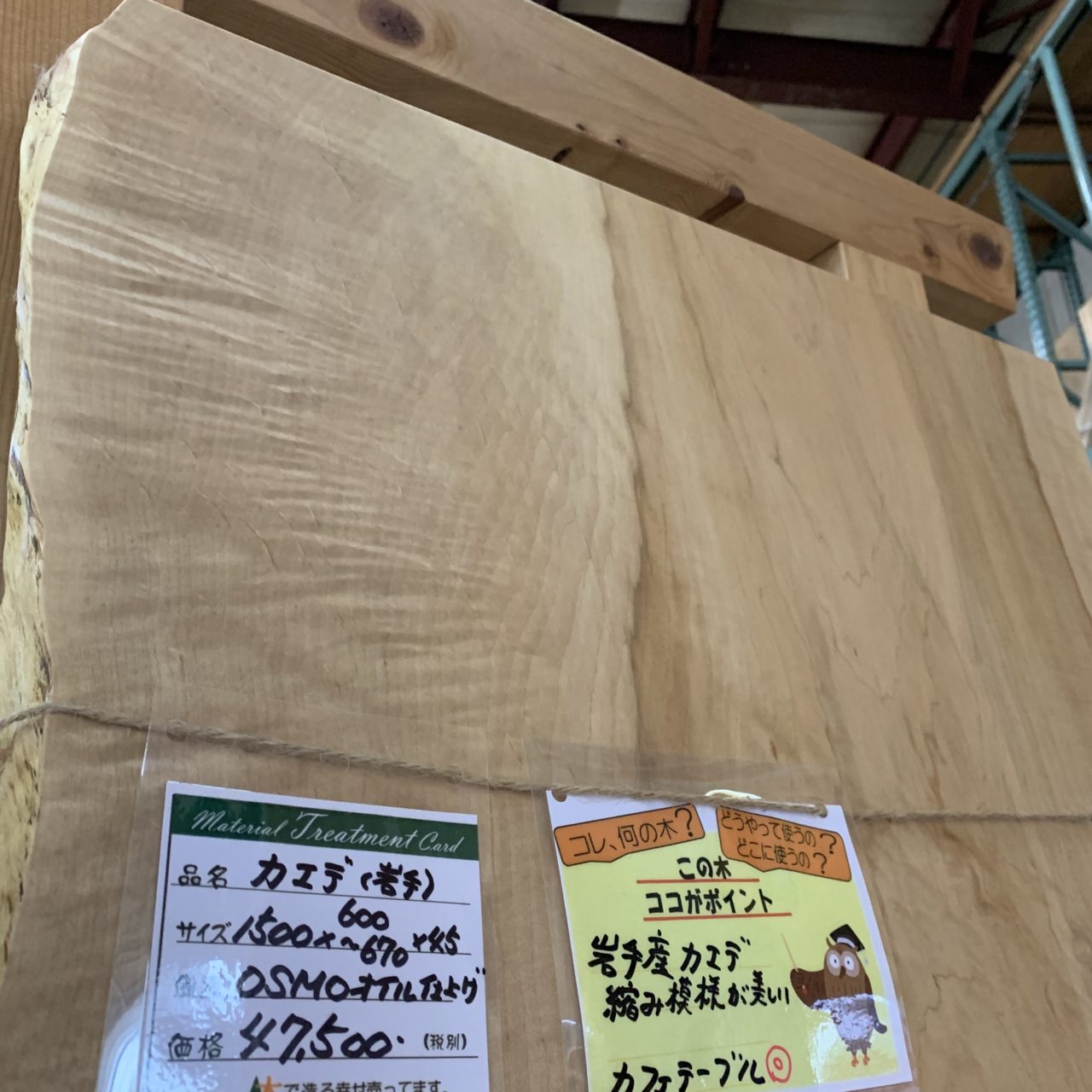 カエデ一枚板【岩手】1500×600〜670×45㎜ | 無垢材・一枚板などの木材