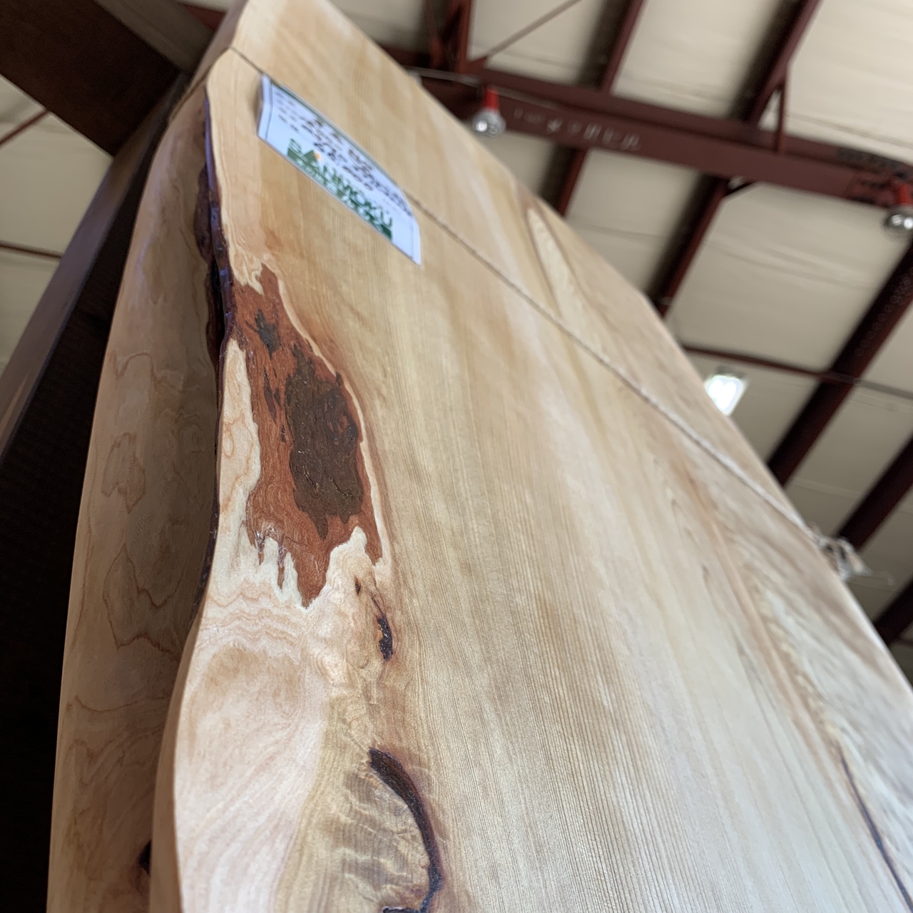青森ひば一枚板 1800×480~550×50㎜ | 無垢材・一枚板などの木材と 