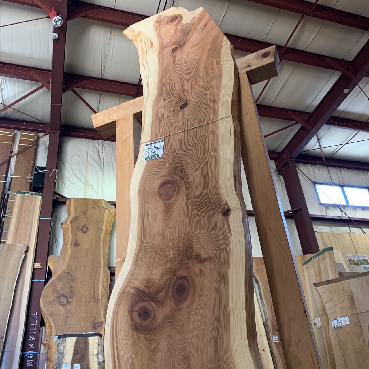 天然杉　一枚板　DIY　テーブル用　素材　ハンドメイド　無垢材　天板　応接セット　テレワーク - 2