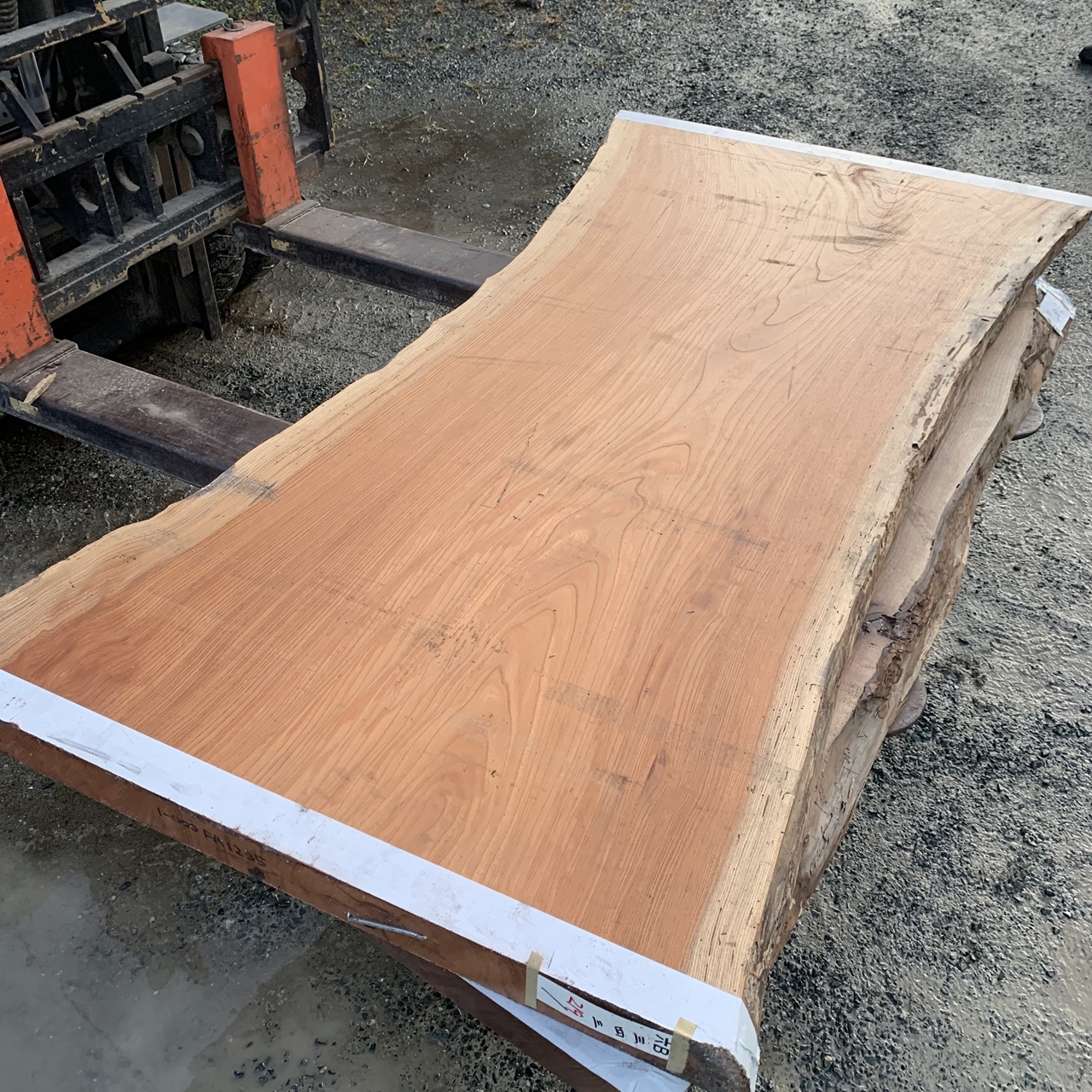 臼型なケヤキ一枚板 | 無垢材・一枚板などの木材とオリジナル家具｜木 