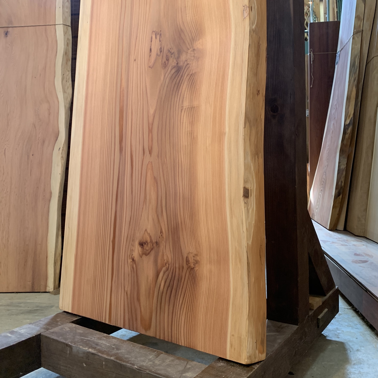 杉一枚板 2500×500~550×55㎜ | 無垢材・一枚板などの木材とオリジナル家具｜木の店さんもく