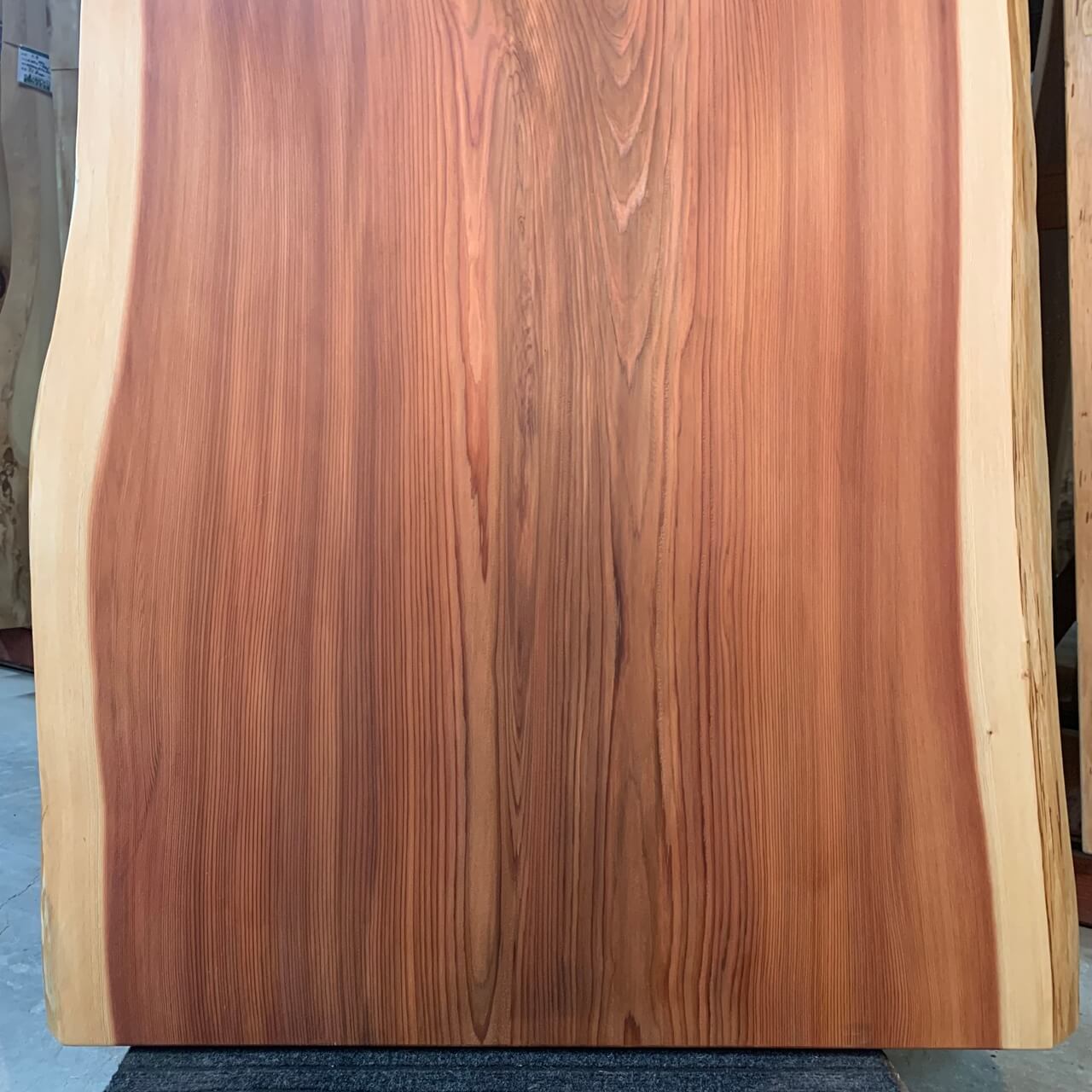 すぎ一枚板高樹齢 ~㎜   無垢材・一枚板などの木材