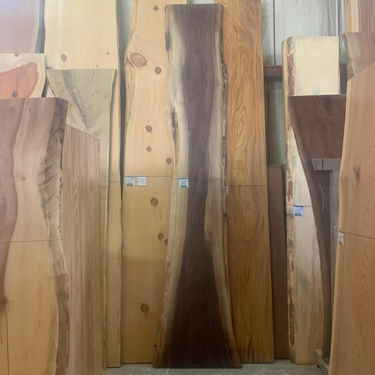 一枚板【長いサイズ 3000mm〜】 | 無垢材・一枚板などの木材と