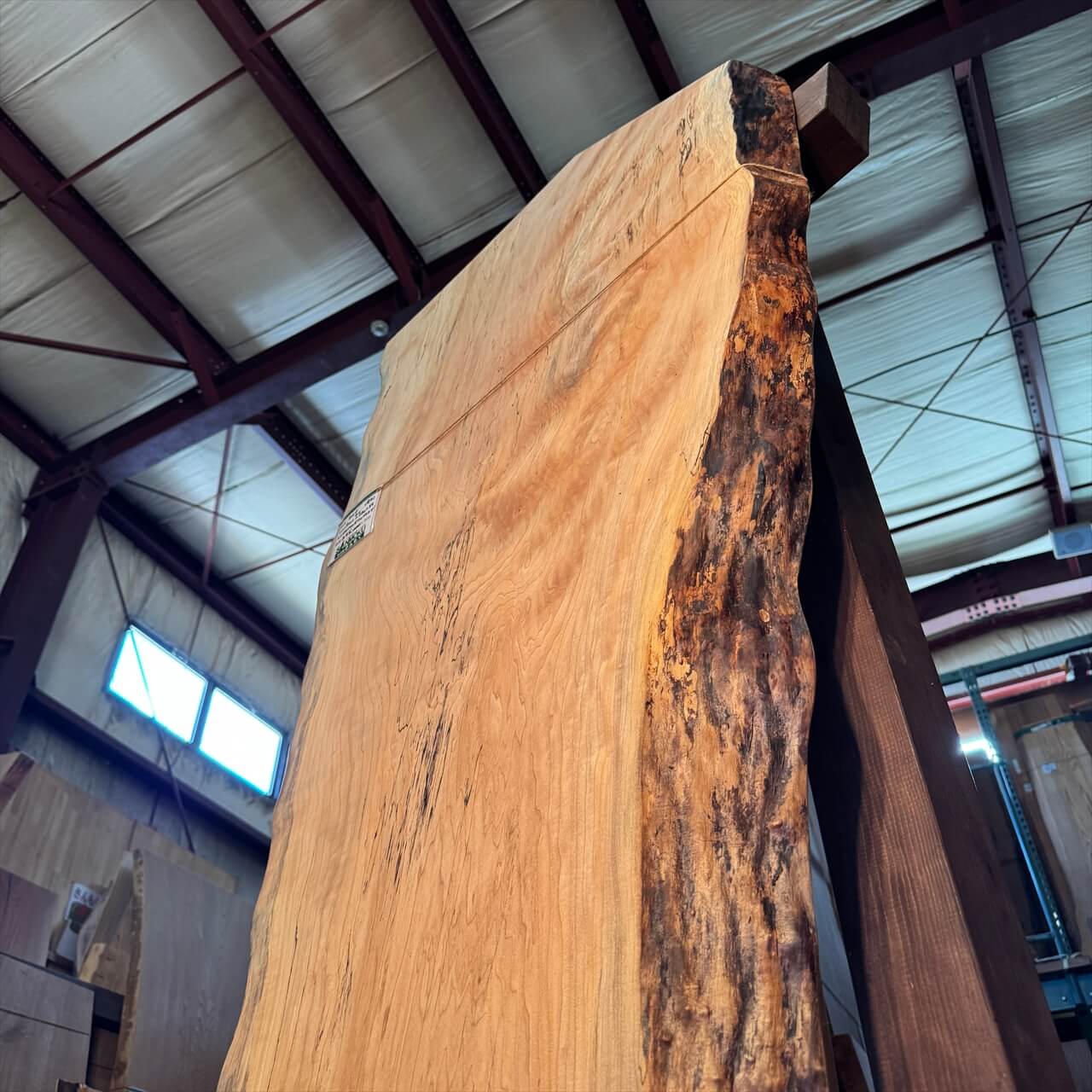 かえで一枚板【岩手】1910×410~730×55㎜【オイル塗装 仕上げ済み