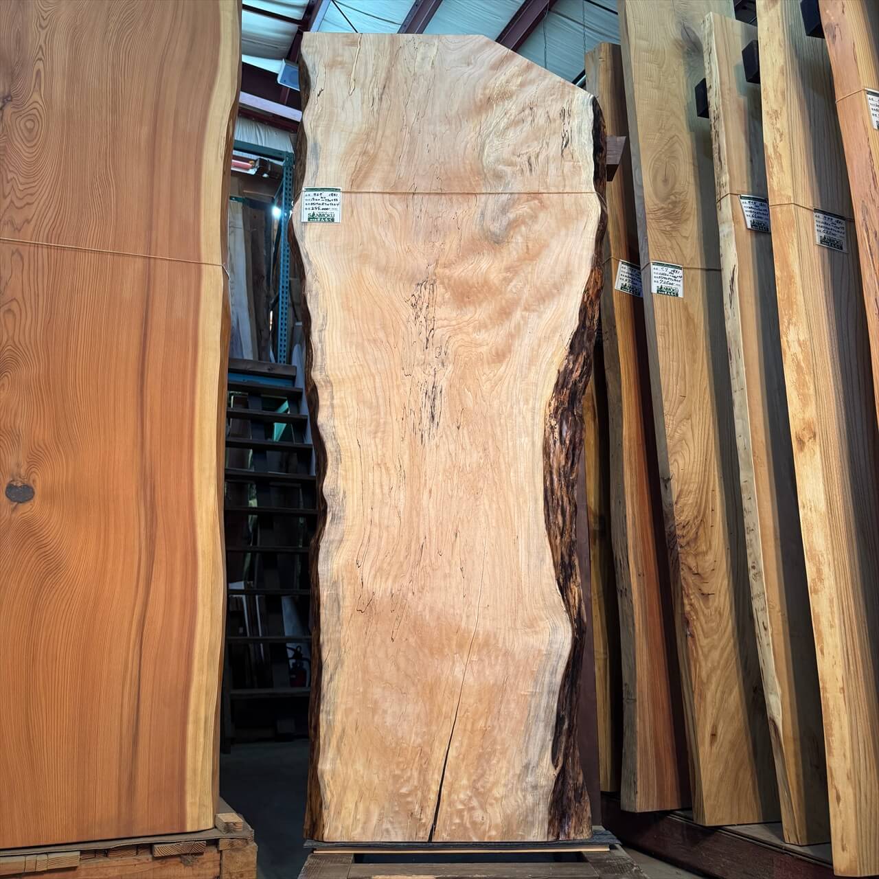 かえで一枚板【岩手】1910×410~730×55㎜【オイル塗装 仕上げ済み