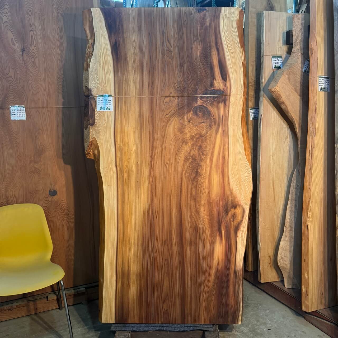 ◇樹齢の高い一枚板【高樹齢】 | 一枚板xオイル仕上げの専門店｜木の店