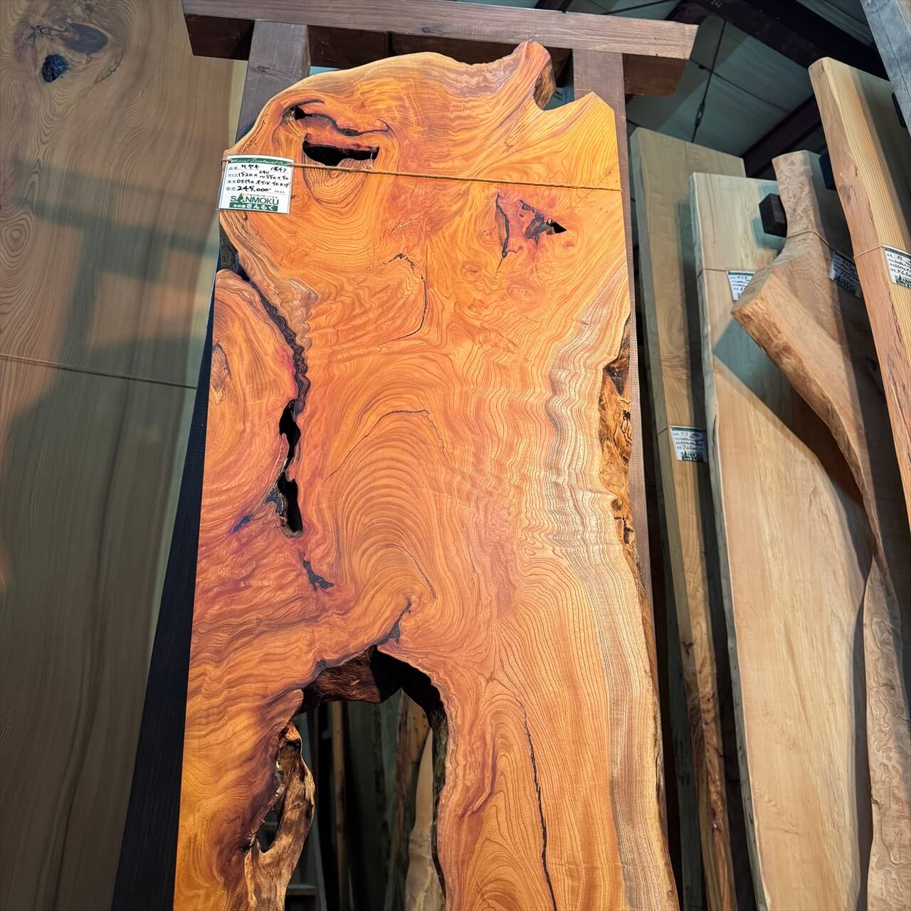 けやき一枚板【高樹齢】1520×240~550×50㎜【オイル塗装 仕上げ済み
