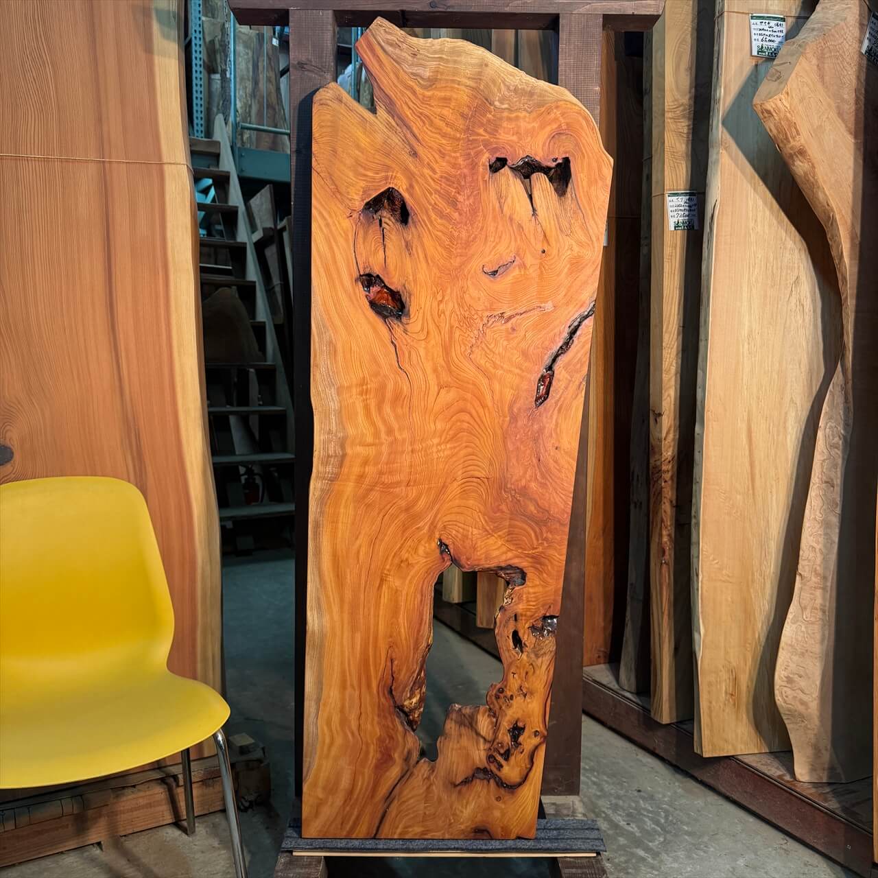 けやき一枚板【高樹齢】1520×240~550×50㎜【オイル塗装 仕上げ済み