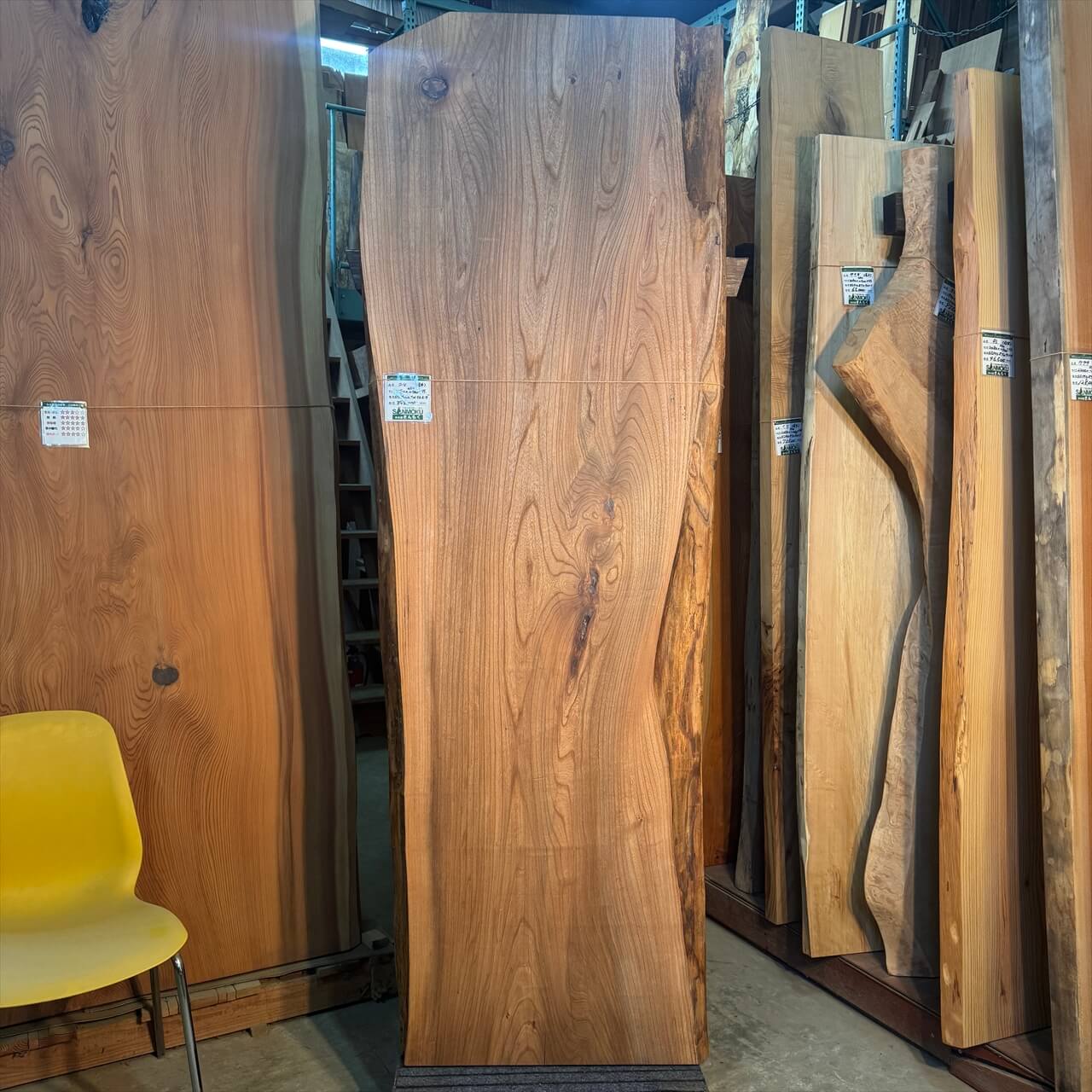 ニレ一枚板【岩手】 2150×480~740×55㎜【オイル塗装 仕上げ済み】