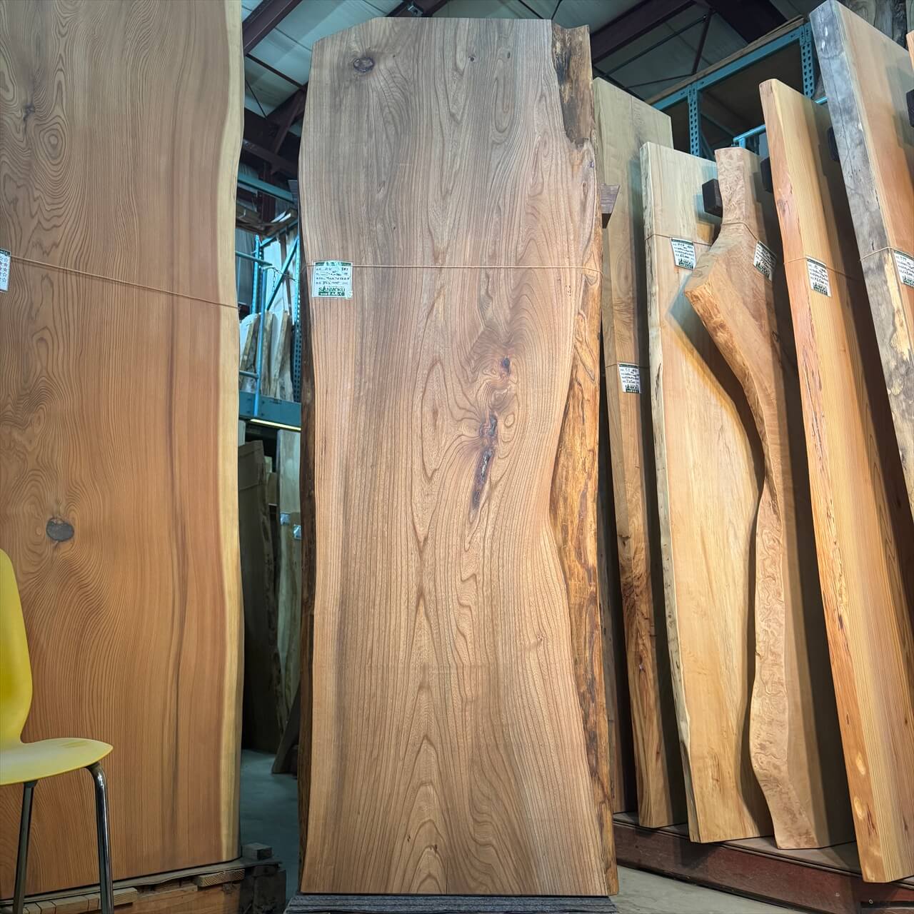 ニレ一枚板【岩手】 2150×480~740×55㎜【オイル塗装 仕上げ済み】 | 一