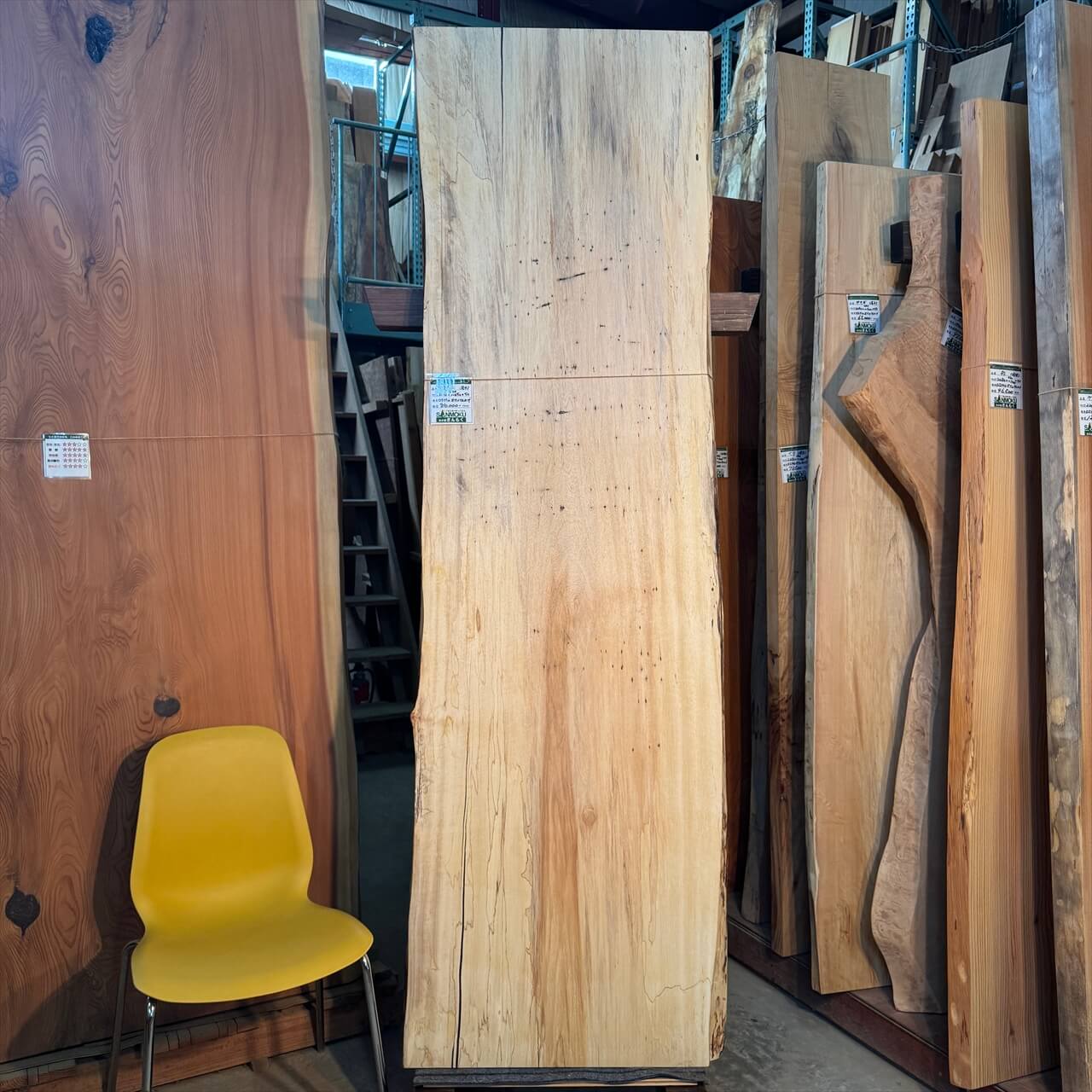 サワグルミ一枚板【岩手】 2180×620~650×50㎜【オイル塗装 仕上げ済み】