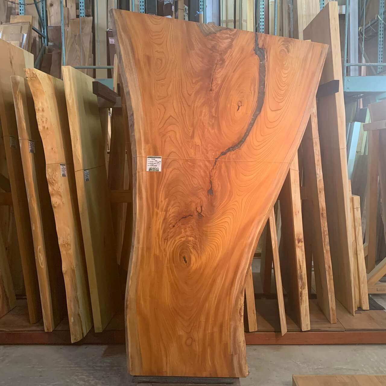 ダイナミックなシェイプで存在感抜群！一枚でマルチに使えそうな「けやき」の一枚板をご紹介します【在庫あり】